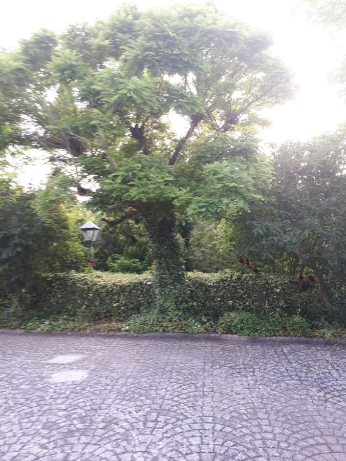 Vila Il Casale Falagario Stacca Altamura Exteriér fotografie